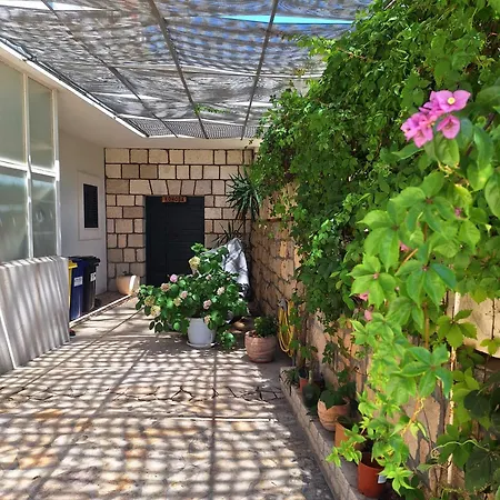 Delic בית נופש *